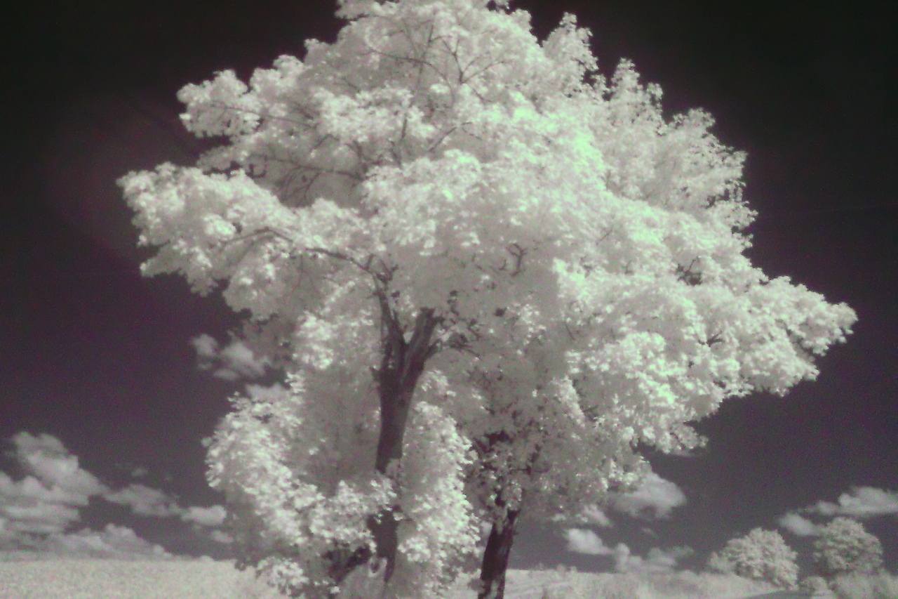 IR