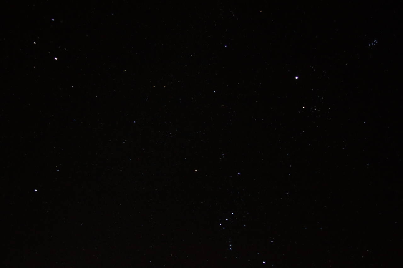Orion